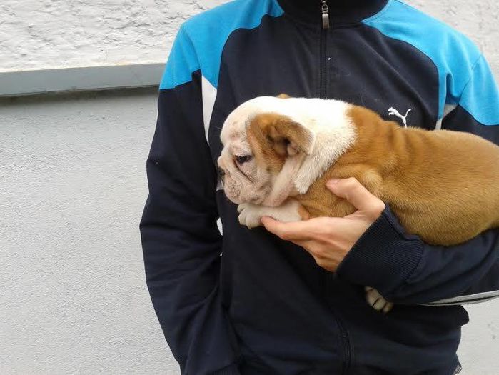 12270327_10204944821842779_2075747805_n