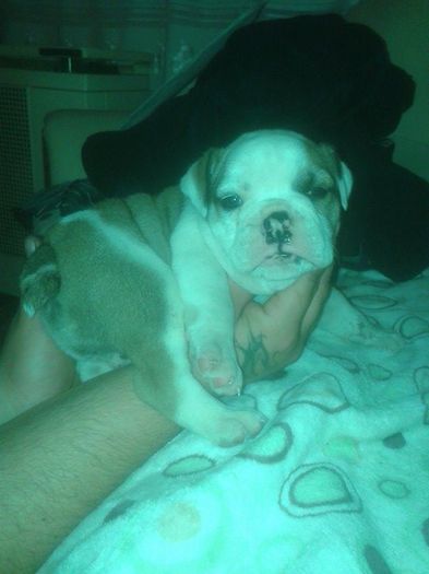 11694321_898380903561302_1866580923_n