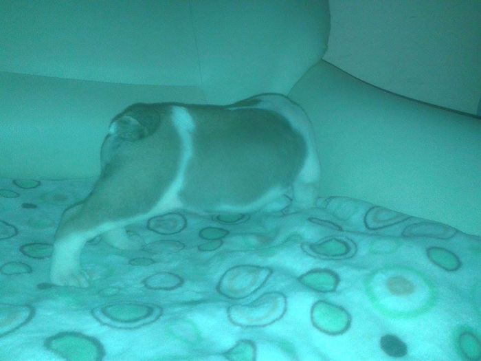 11653396_898381496894576_447659944_n