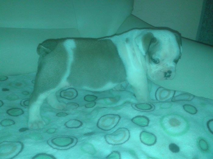 11714550_898381476894578_533968450_n