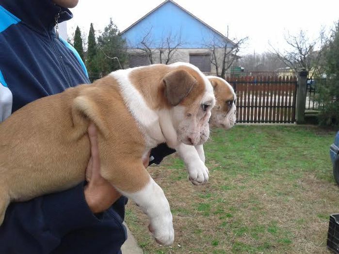 12286108_10204944823202813_841912660_n