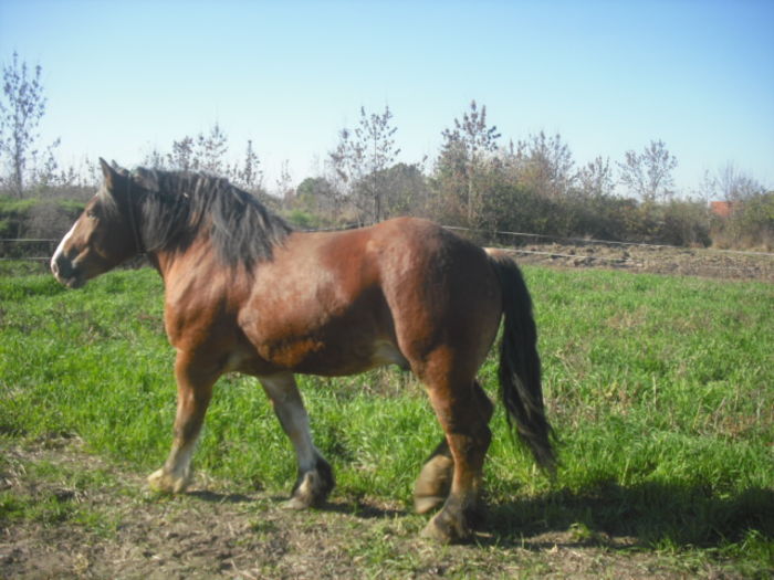 CIMG7861