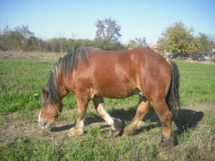 CIMG7862