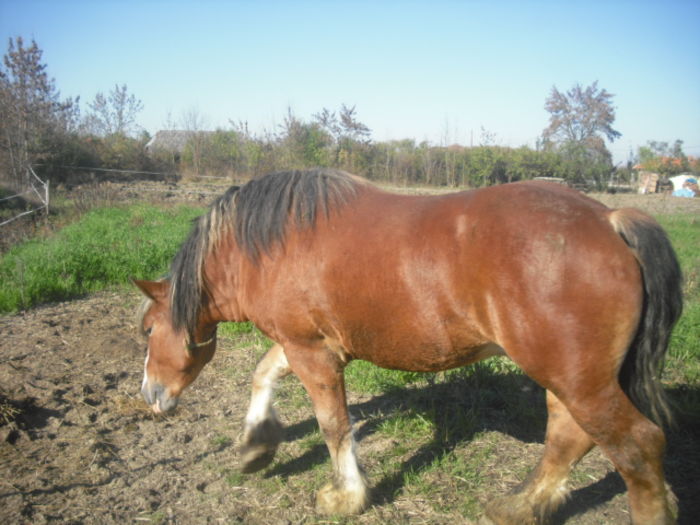 CIMG7864