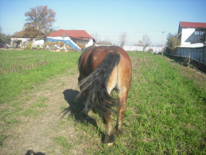 CIMG7866