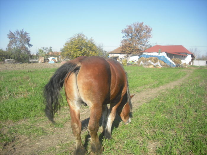 CIMG7867