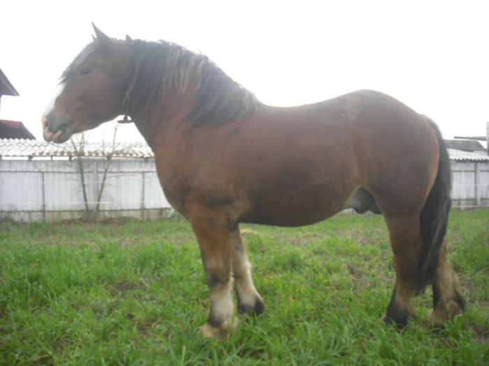 CIMG7909