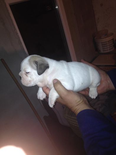 11401059_877557655633575_2698021217032335264_n