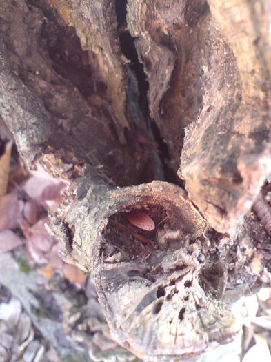 DSC01324