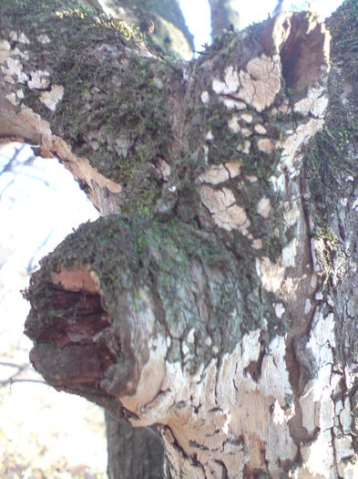 DSC01328