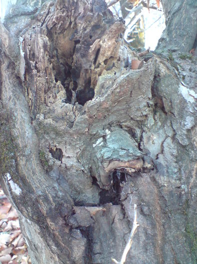 DSC01329
