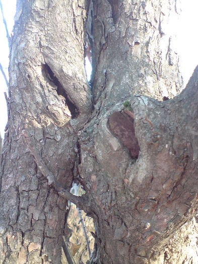 DSC01330