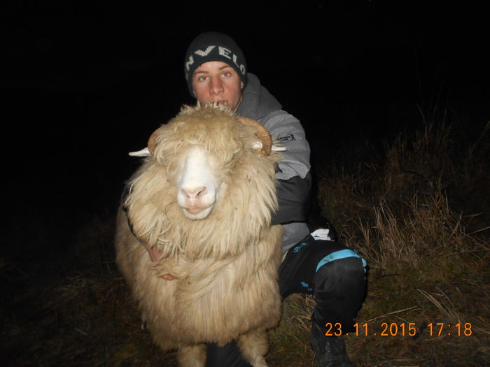 Picture 1467 - Turcana-Alba 2015