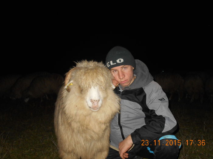 Picture 1486 - Turcana-Alba 2015