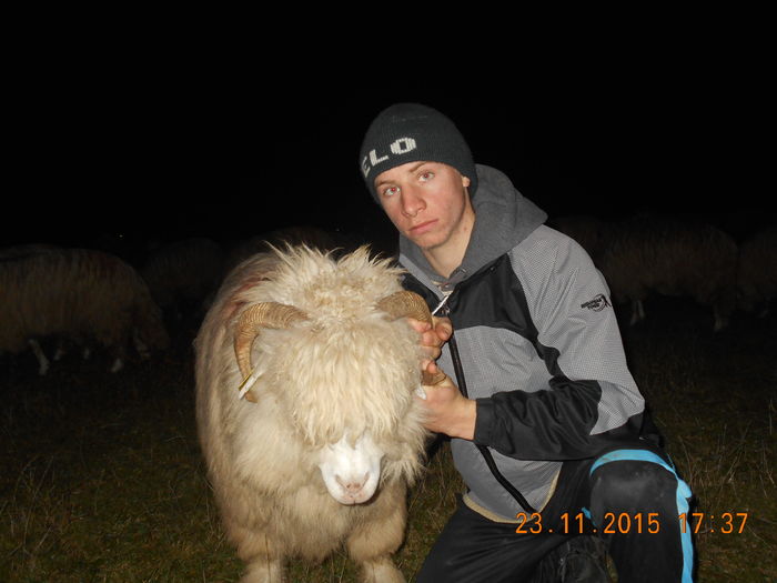 Picture 1491 - Turcana-Alba 2015