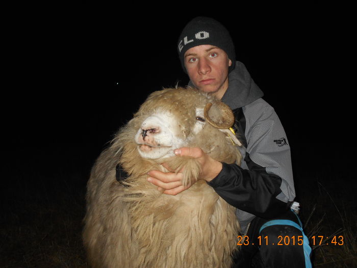 Picture 1499 - Turcana-Alba 2015