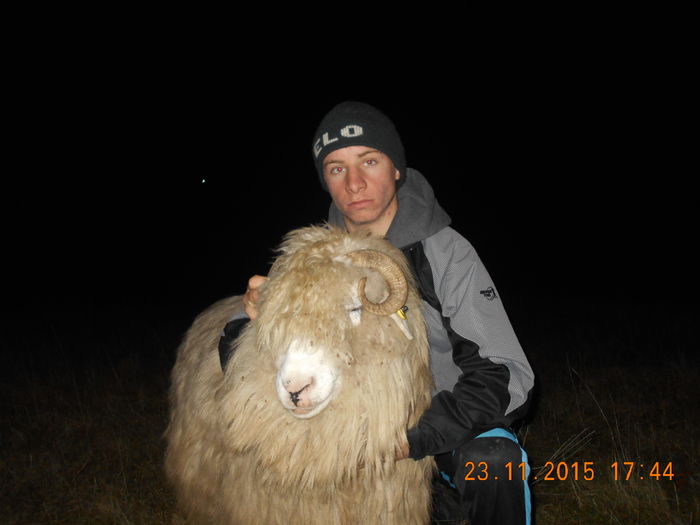 Picture 1502 - Turcana-Alba 2015