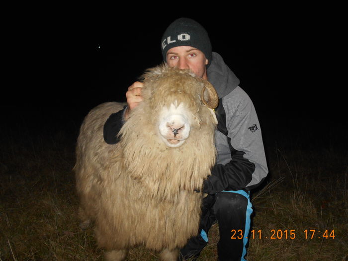 Picture 1503 - Turcana-Alba 2015