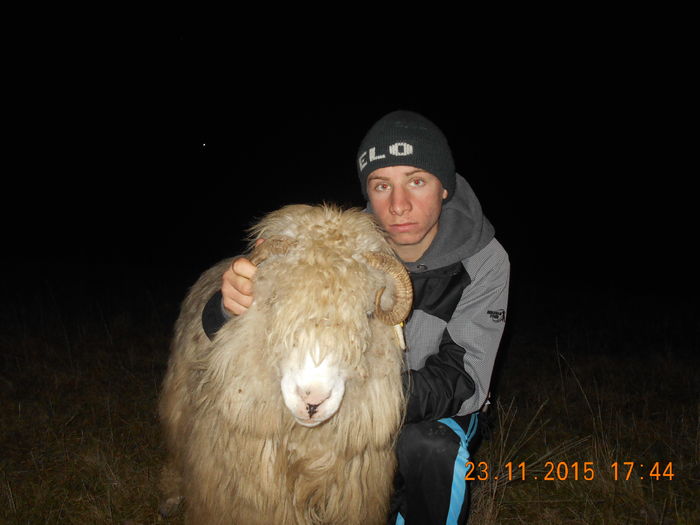 Picture 1504 - Turcana-Alba 2015