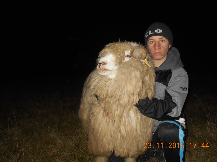 Picture 1506 - Turcana-Alba 2015