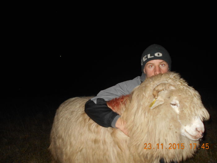 Picture 1507 - Turcana-Alba 2015