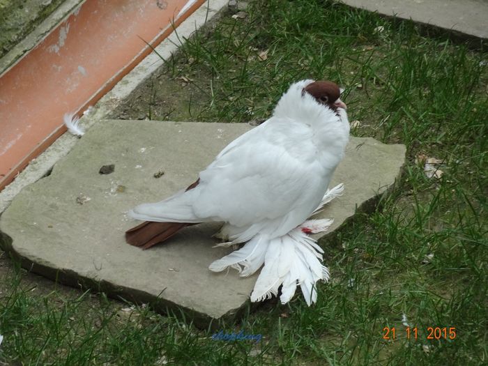 DSC07150