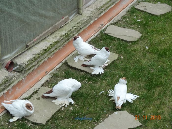 DSC07153