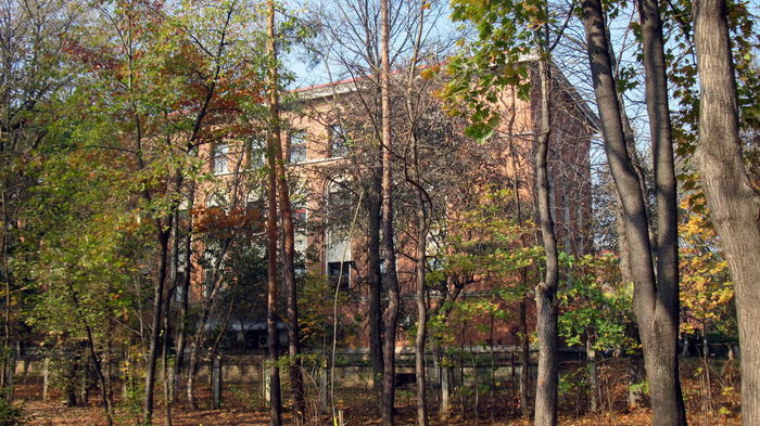 INSTITUTUL PETRU PONI