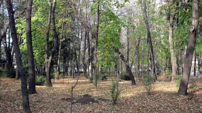 COPOUL PARC