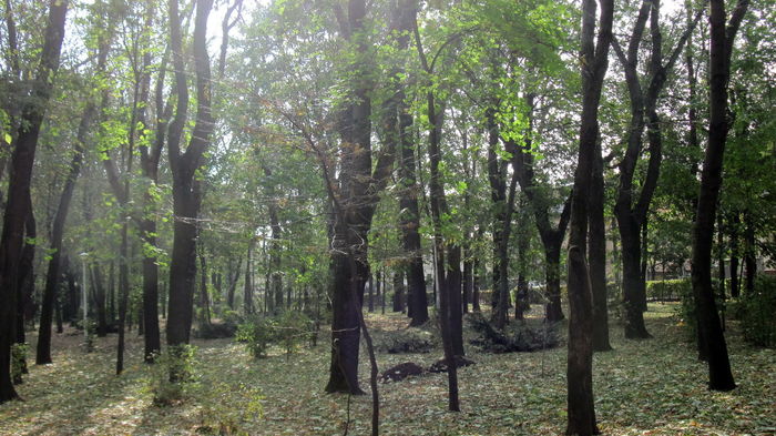 COPOUL PARC