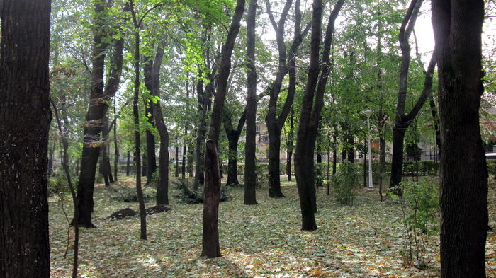 COPOUL PARC