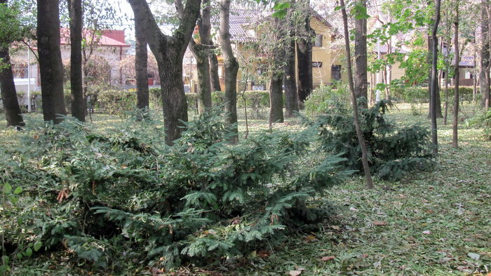 COPOUL PARC