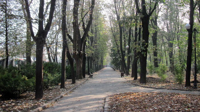 INTRAREA IN PARC