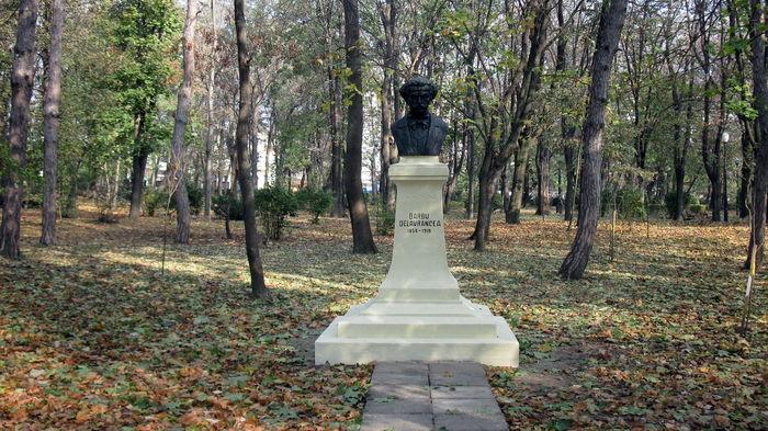 AVOCATUL LUI MAIORESCU