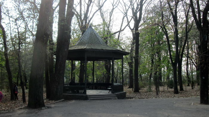SI IN PARC, FAMFARA CANTA