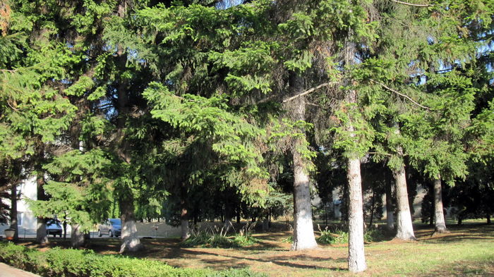 CURTEA INSTITUTULUI