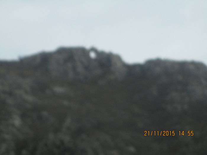 IMG_0184