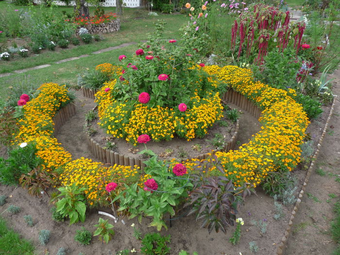 P1720474 - Craite - Tagetes