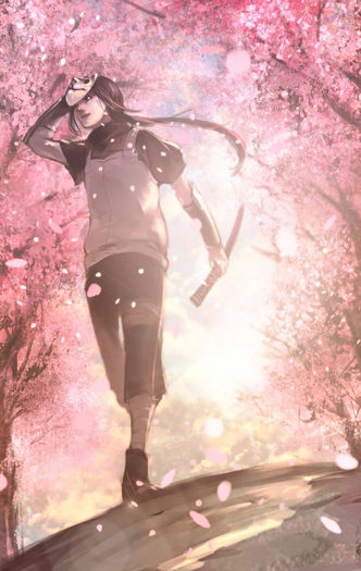 Sakura (Floare de cires)