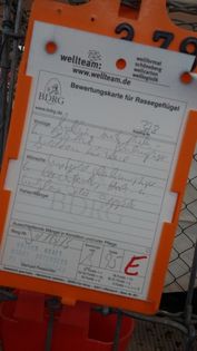 17 - Campionatul Germaniei