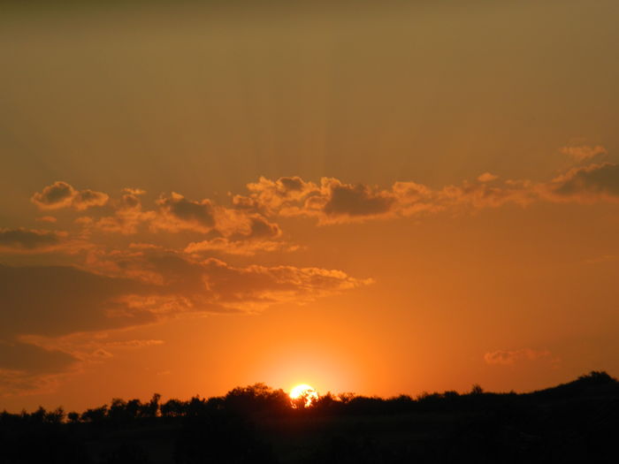 DSCN5404 - 2015_SASE ANI