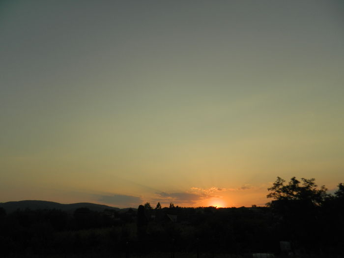 DSCN5409 - 2015_SASE ANI