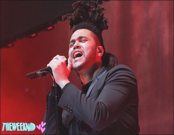 ☪ 24.11.2015 │ day 114 ϟ - Give any other day but - Thursday