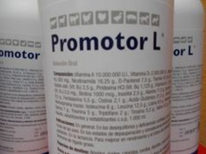 Promotor - A VITAMINE