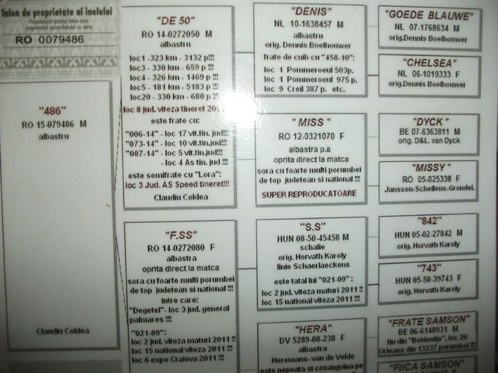 003 (2); MASCUL 2015 ORG COLDEA CLAUDIU IL DAU DEOARECE MAI REDUC DIN MATCA
