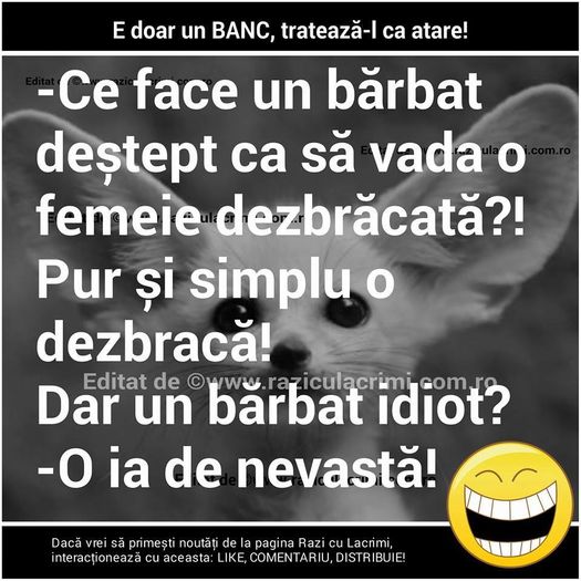 12227666_1016674231686124_5078391701178758842_n - Diverse