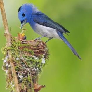 667805_b07560cb25a95c3d3b12d930770b0c8a_mdsq