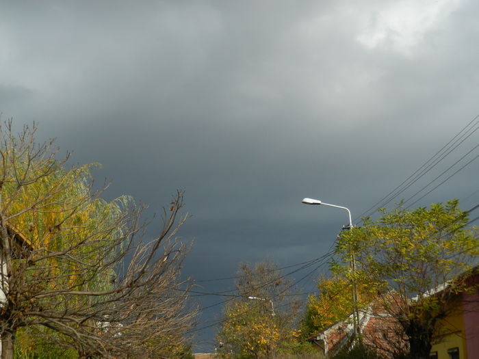 DSCN4501