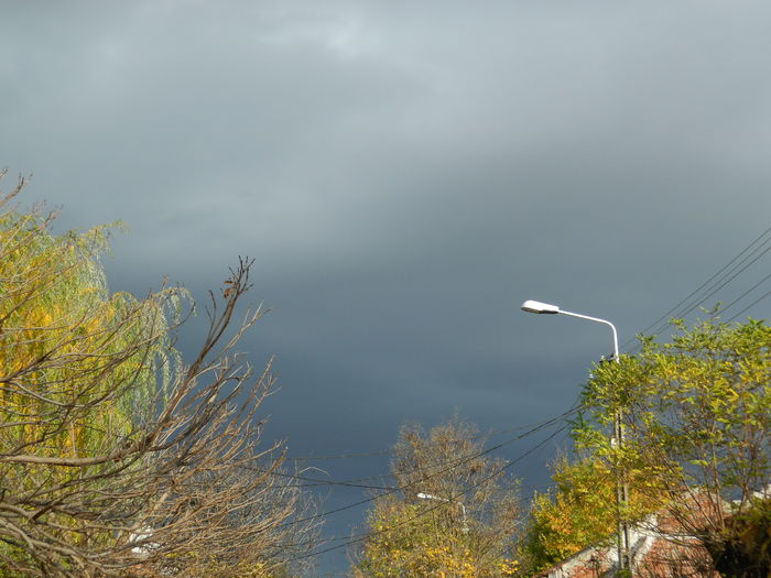 DSCN4508 - 2015_NOIEMBRIE_2