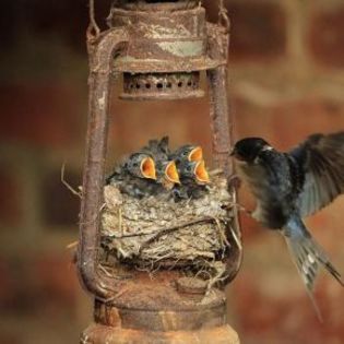 667894_df1f9bcc6129b1a8ea53dd6cafeb98f0_mdsq